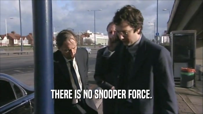 THERE IS NO SNOOPER FORCE.  