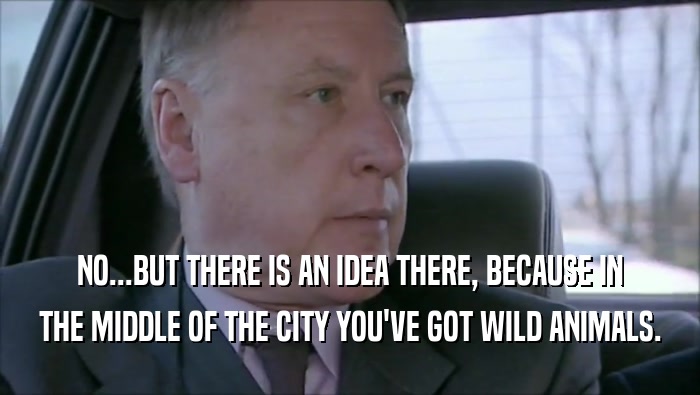 NO...BUT THERE IS AN IDEA THERE, BECAUSE IN THE MIDDLE OF THE CITY YOU'VE GOT WILD ANIMALS. 
