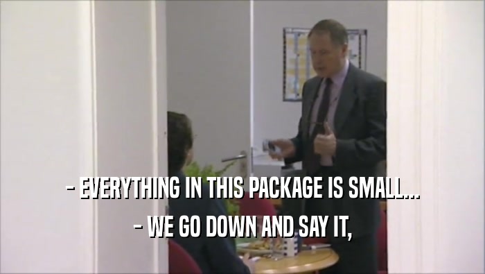 - EVERYTHING IN THIS PACKAGE IS SMALL... - WE GO DOWN AND SAY IT, 