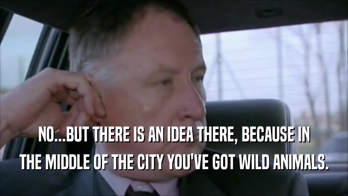 NO...BUT THERE IS AN IDEA THERE, BECAUSE IN THE MIDDLE OF THE CITY YOU'VE GOT WILD ANIMALS. 