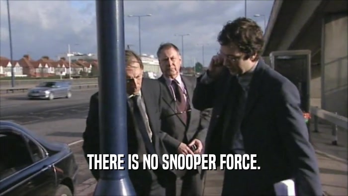 THERE IS NO SNOOPER FORCE.  