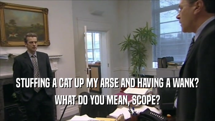 STUFFING A CAT UP MY ARSE AND HAVING A WANK? WHAT DO YOU MEAN, SCOPE? 