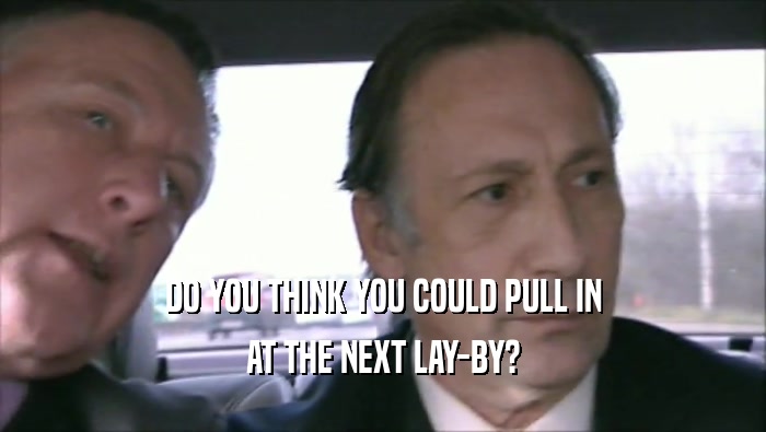 DO YOU THINK YOU COULD PULL IN AT THE NEXT LAY-BY? 