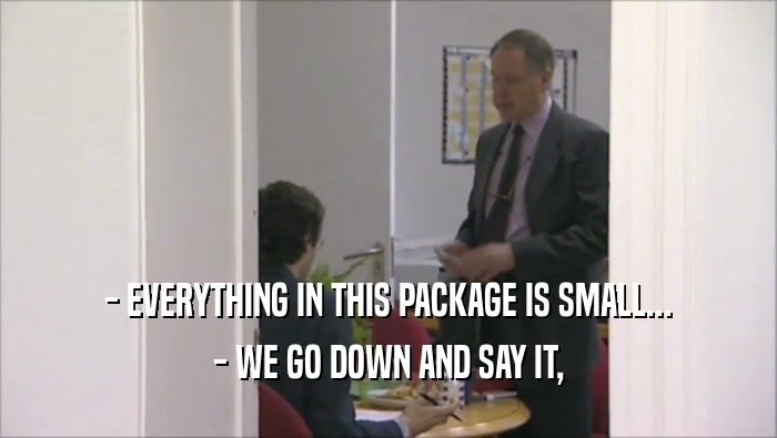 - EVERYTHING IN THIS PACKAGE IS SMALL... - WE GO DOWN AND SAY IT, 