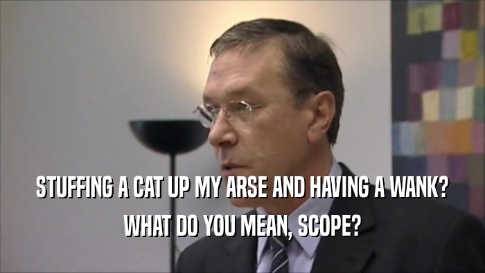STUFFING A CAT UP MY ARSE AND HAVING A WANK? WHAT DO YOU MEAN, SCOPE? 