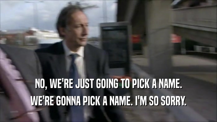 NO, WE'RE JUST GOING TO PICK A NAME. WE'RE GONNA PICK A NAME. I'M SO SORRY. 