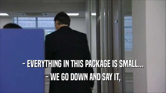 - EVERYTHING IN THIS PACKAGE IS SMALL... - WE GO DOWN AND SAY IT, 
