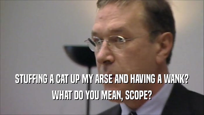 STUFFING A CAT UP MY ARSE AND HAVING A WANK? WHAT DO YOU MEAN, SCOPE? 