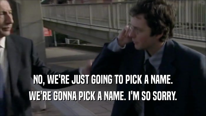 NO, WE'RE JUST GOING TO PICK A NAME. WE'RE GONNA PICK A NAME. I'M SO SORRY. 