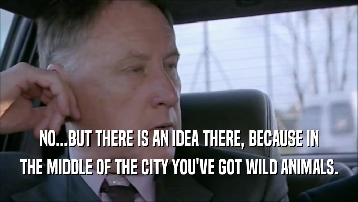 NO...BUT THERE IS AN IDEA THERE, BECAUSE IN THE MIDDLE OF THE CITY YOU'VE GOT WILD ANIMALS. 