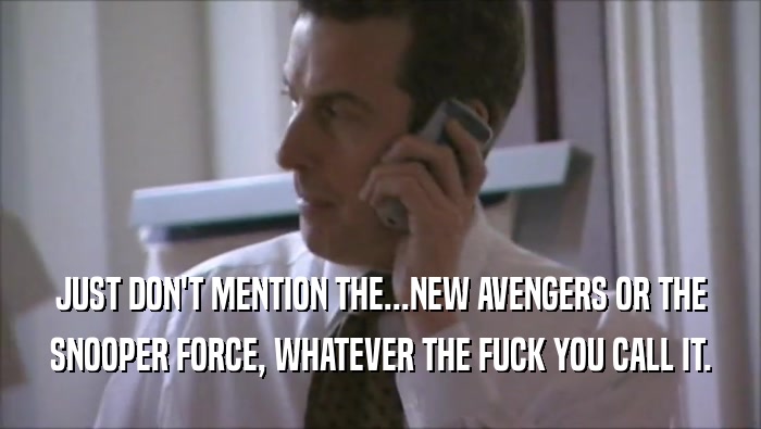 JUST DON'T MENTION THE...NEW AVENGERS OR THE
 SNOOPER FORCE, WHATEVER THE FUCK YOU CALL IT.
 