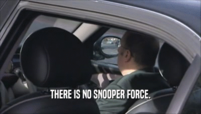 THERE IS NO SNOOPER FORCE.  