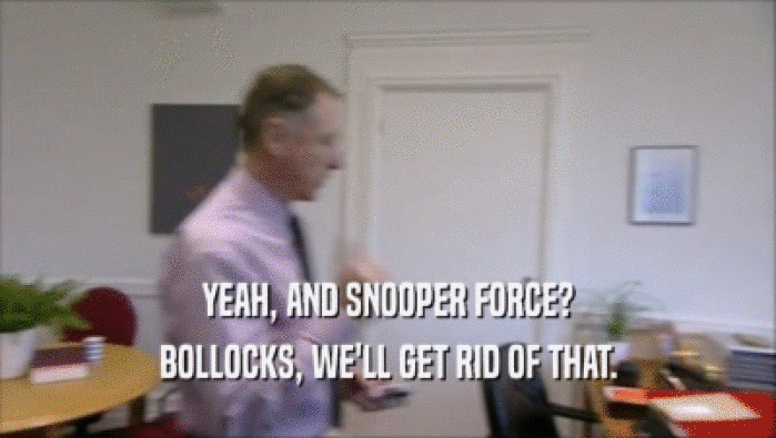 YEAH, AND SNOOPER FORCE? BOLLOCKS, WE'LL GET RID OF THAT. 