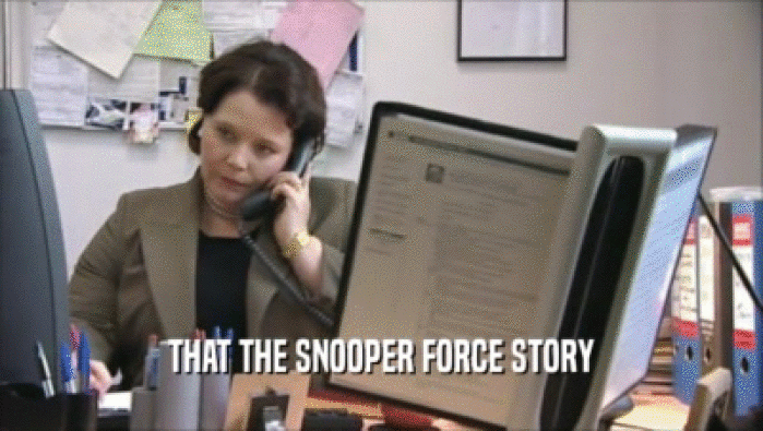 THAT THE SNOOPER FORCE STORY
  