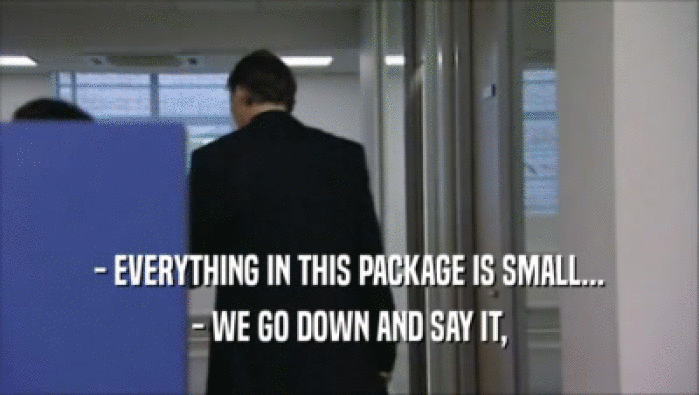 - EVERYTHING IN THIS PACKAGE IS SMALL... - WE GO DOWN AND SAY IT, 