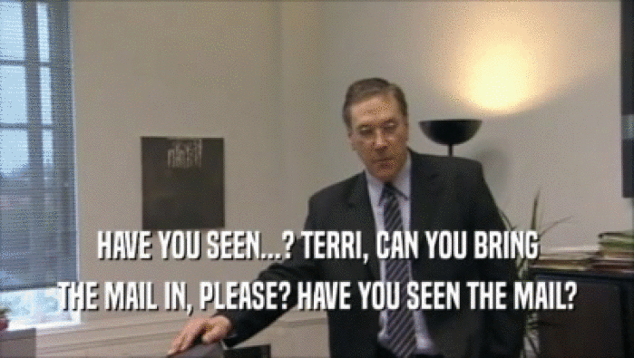 HAVE YOU SEEN...? TERRI, CAN YOU BRING THE MAIL IN, PLEASE? HAVE YOU SEEN THE MAIL? 