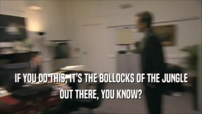 IF YOU DO THIS, IT'S THE BOLLOCKS OF THE JUNGLE OUT THERE, YOU KNOW? 
