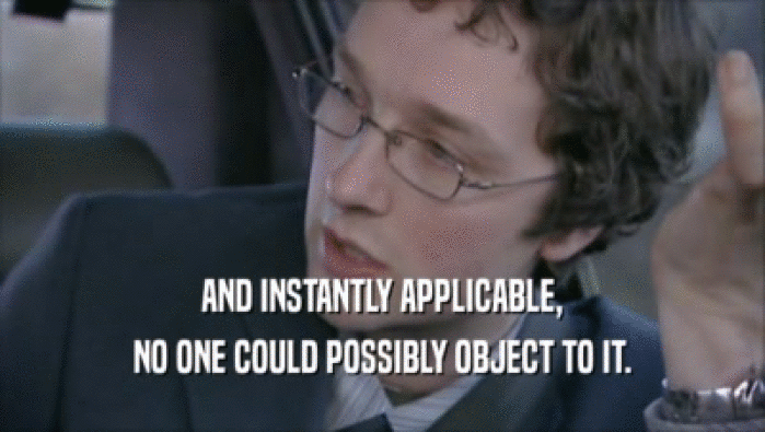 AND INSTANTLY APPLICABLE, NO ONE COULD POSSIBLY OBJECT TO IT. 