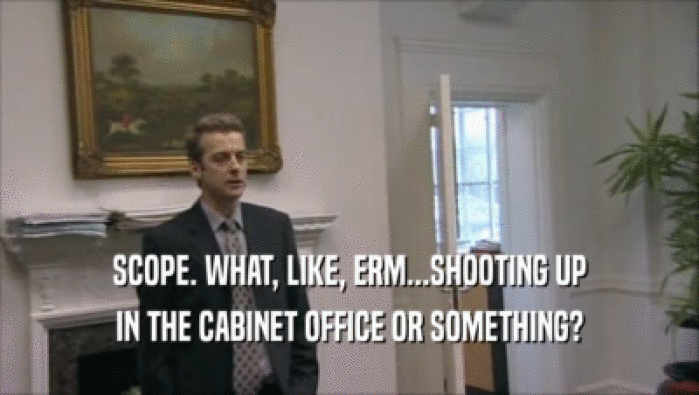 SCOPE. WHAT, LIKE, ERM...SHOOTING UP IN THE CABINET OFFICE OR SOMETHING? 