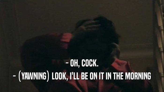 - OH, COCK. - (YAWNING) LOOK, I'LL BE ON IT IN THE MORNING 