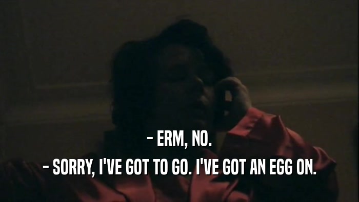 - ERM, NO. - SORRY, I'VE GOT TO GO. I'VE GOT AN EGG ON. 