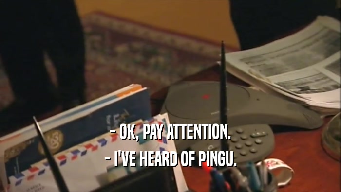 - OK, PAY ATTENTION. - I'VE HEARD OF PINGU. 