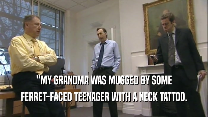 ''MY GRANDMA WAS MUGGED BY SOME FERRET-FACED TEENAGER WITH A NECK TATTOO. 