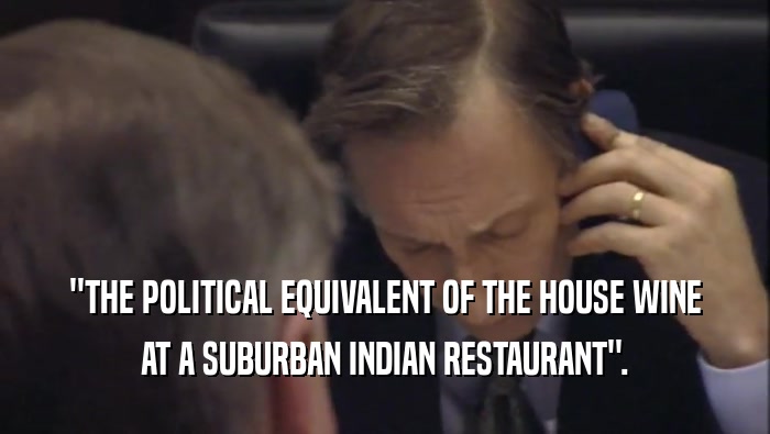''THE POLITICAL EQUIVALENT OF THE HOUSE WINE AT A SUBURBAN INDIAN RESTAURANT''. 