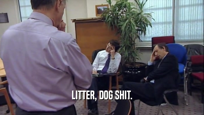 LITTER, DOG SHIT.  