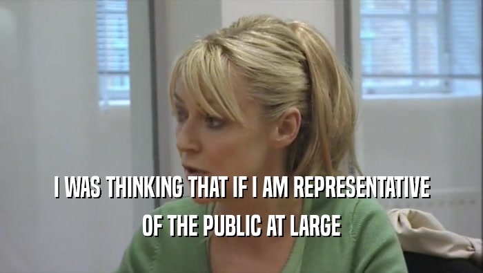 I WAS THINKING THAT IF I AM REPRESENTATIVE OF THE PUBLIC AT LARGE 