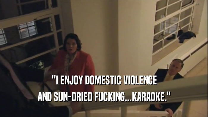''I ENJOY DOMESTIC VIOLENCE
 AND SUN-DRIED FUCKING...KARAOKE.''
 