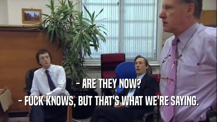 - ARE THEY NOW? - FUCK KNOWS, BUT THAT'S WHAT WE'RE SAYING. 