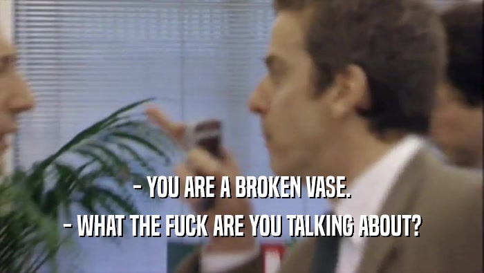 - YOU ARE A BROKEN VASE.
 - WHAT THE FUCK ARE YOU TALKING ABOUT?
 