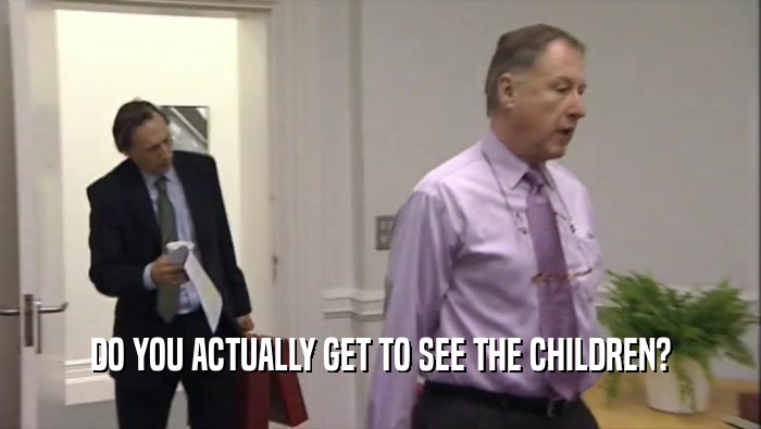 DO YOU ACTUALLY GET TO SEE THE CHILDREN?  