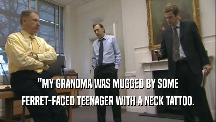 ''MY GRANDMA WAS MUGGED BY SOME FERRET-FACED TEENAGER WITH A NECK TATTOO. 