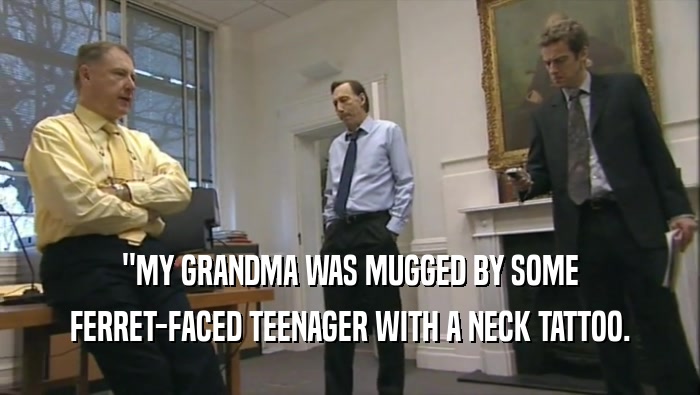 ''MY GRANDMA WAS MUGGED BY SOME FERRET-FACED TEENAGER WITH A NECK TATTOO. 