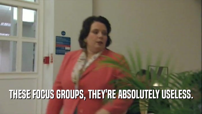 THESE FOCUS GROUPS, THEY'RE ABSOLUTELY USELESS.  