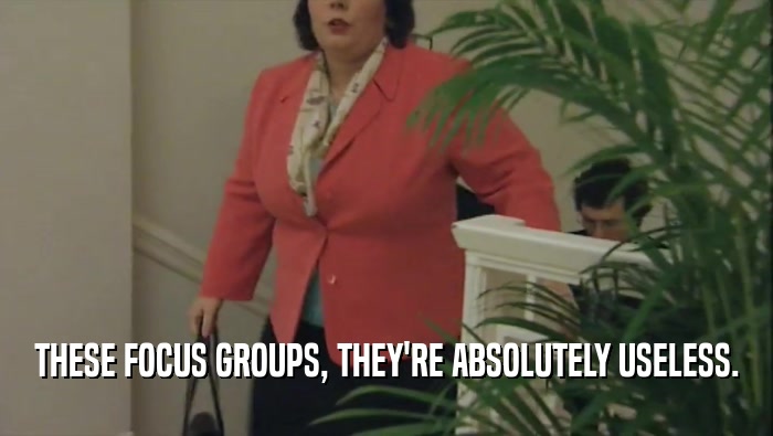 THESE FOCUS GROUPS, THEY'RE ABSOLUTELY USELESS.  