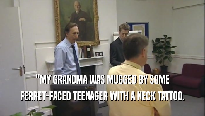 ''MY GRANDMA WAS MUGGED BY SOME FERRET-FACED TEENAGER WITH A NECK TATTOO. 