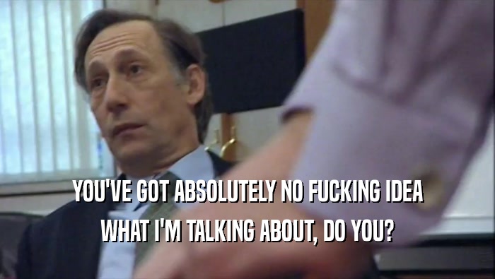 YOU'VE GOT ABSOLUTELY NO FUCKING IDEA WHAT I'M TALKING ABOUT, DO YOU? 