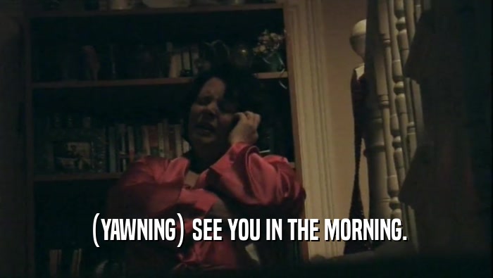 (YAWNING) SEE YOU IN THE MORNING.  