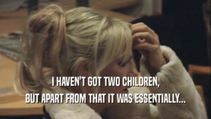 I HAVEN'T GOT TWO CHILDREN,
 BUT APART FROM THAT IT WAS ESSENTIALLY...
 