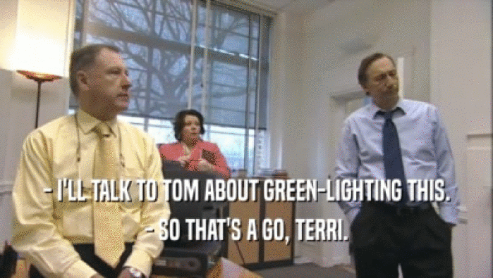- I'LL TALK TO TOM ABOUT GREEN-LIGHTING THIS. - SO THAT'S A GO, TERRI. 