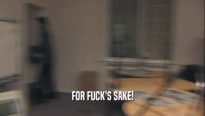 FOR FUCK'S SAKE!  
