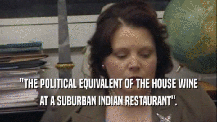''THE POLITICAL EQUIVALENT OF THE HOUSE WINE AT A SUBURBAN INDIAN RESTAURANT''. 