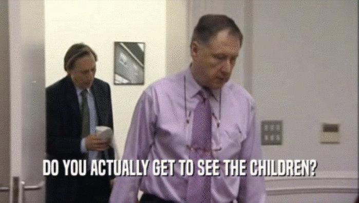 DO YOU ACTUALLY GET TO SEE THE CHILDREN?  