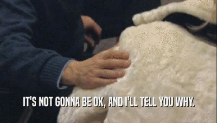 IT'S NOT GONNA BE OK, AND I'LL TELL YOU WHY.  