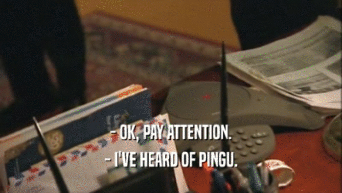 - OK, PAY ATTENTION. - I'VE HEARD OF PINGU. 