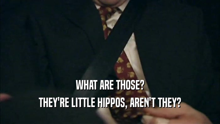 WHAT ARE THOSE? THEY'RE LITTLE HIPPOS, AREN'T THEY? 