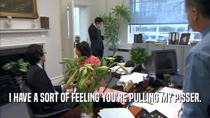 I HAVE A SORT OF FEELING YOU'RE PULLING MY PISSER.  